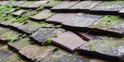 Bryn roof repair costs
